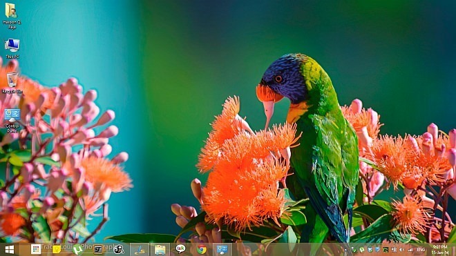 Rainbow-of-Birds-Theme-for-Windows-8.1