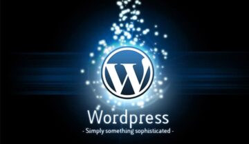 كيفية إيجاد تصميم الورد بريس WordPress الذي يستخدمة موقع معين 1