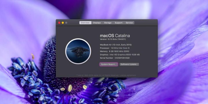 تحميل MacOS Catalina بنسخة ثابتة والخروج من برنامج البيتا 1