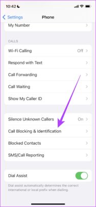 6 طرق لحظر المكالمات غير المرغوب فيها والمزعجة على iPhone 25