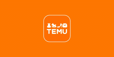 برنامج الشراكة مع TEMU 2024 وأرباح تصل الى 100 ألف دولار شهريًا